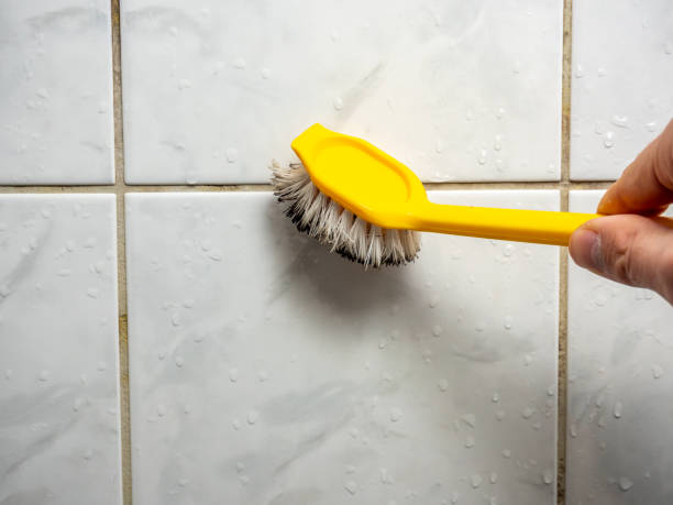 Best Mold Remediation  in Manchester, MI