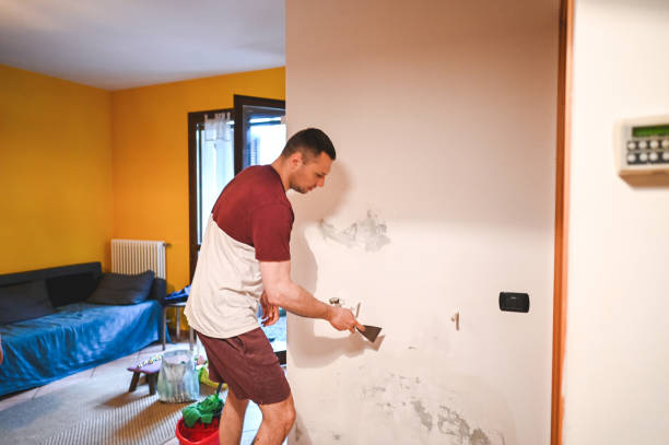 Professional Mold Removal in Manchester, MI
